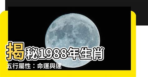 1988年屬什麼|1988年屬相 1988年屬什麼生肖